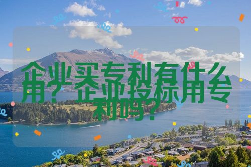 企業(yè)買專利有什么用？企業(yè)投標用專利嗎？