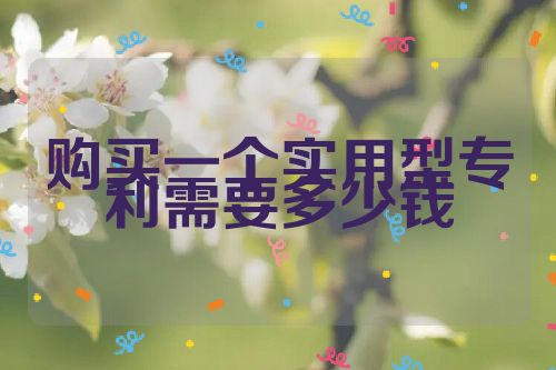 購(gòu)買(mǎi)一個(gè)實(shí)用型專利需要多少錢(qián)