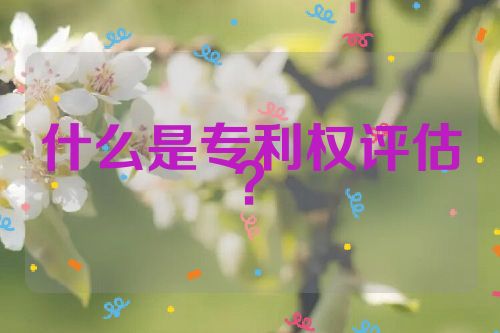 什么是專(zhuān)利權(quán)評(píng)估？