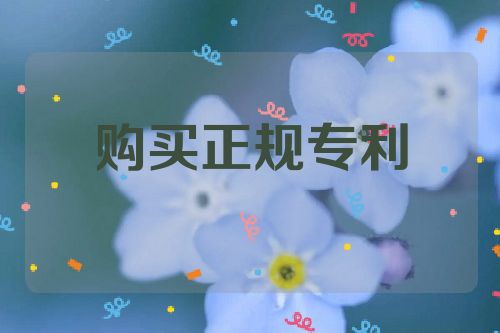 購(gòu)買(mǎi)正規(guī)專(zhuān)利