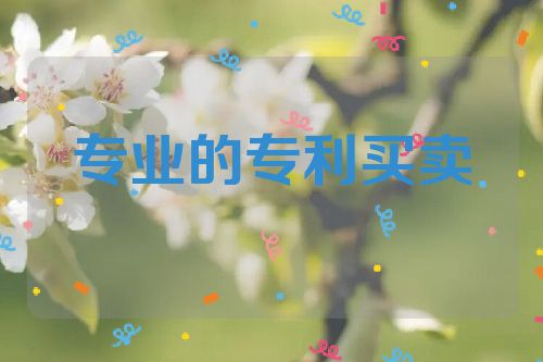 專業(yè)的專利買(mǎi)賣(mài)