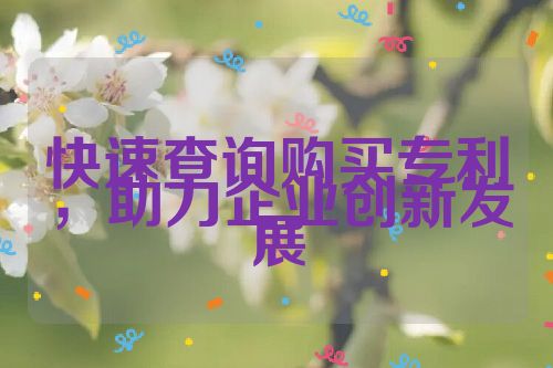 快速查詢(xún)購(gòu)買(mǎi)專(zhuān)利，助力企業(yè)創(chuàng)新發(fā)展